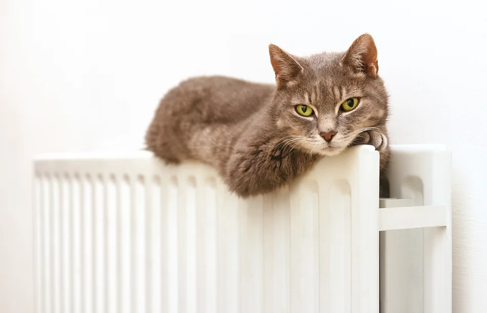 Central Heating Controls